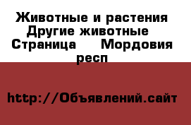 Животные и растения Другие животные - Страница 3 . Мордовия респ.